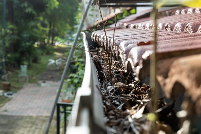 Professional Gutter Cleaning Services in Folsom & Placerville | 1Builder Handyman