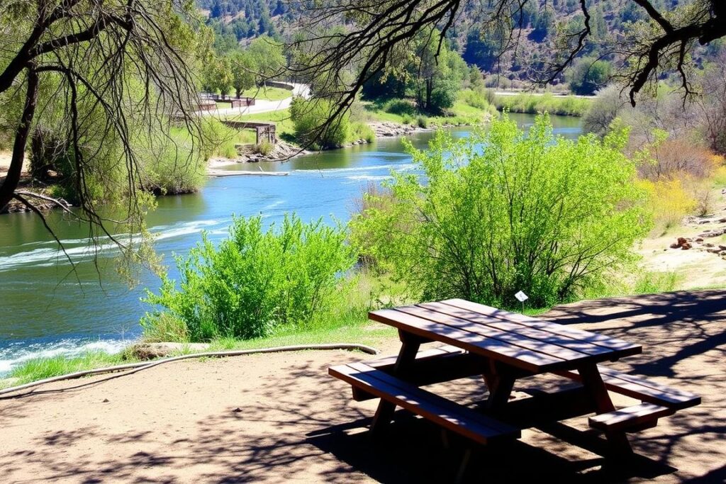 Alder Creek Picnic Area American River